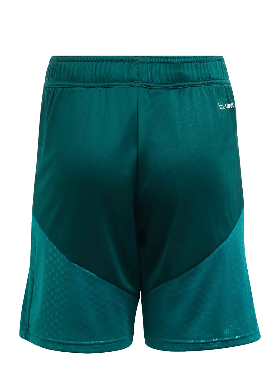 adidas Performance - REAL TR SHOY - sportsshorts - aurivy/wilpnk - 1