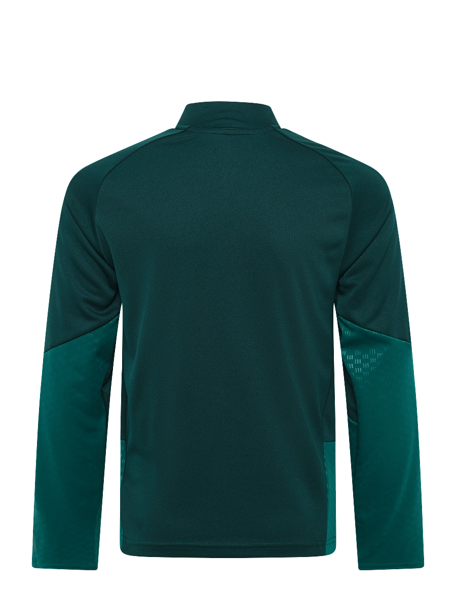 adidas Performance - REAL TR TOPY - langärmlige hemden - aurivy/wilpnk - 2