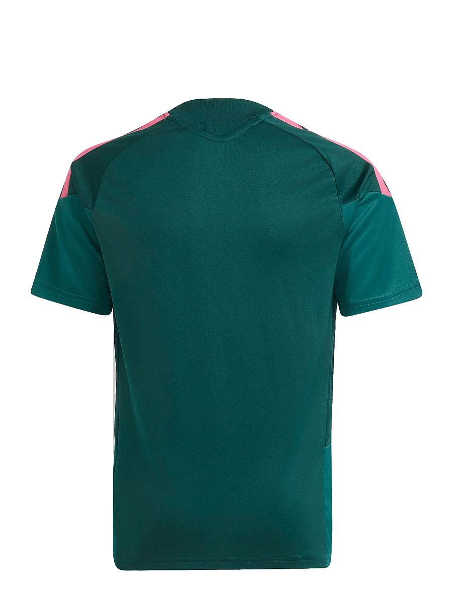 adidas Performance - REAL TR JSYY - sportieve tops - aurivy/wilpnk - 1