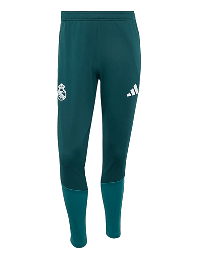 adidas Performance REAL TR PNT - Hosen - AURIVY/WILPNK / green