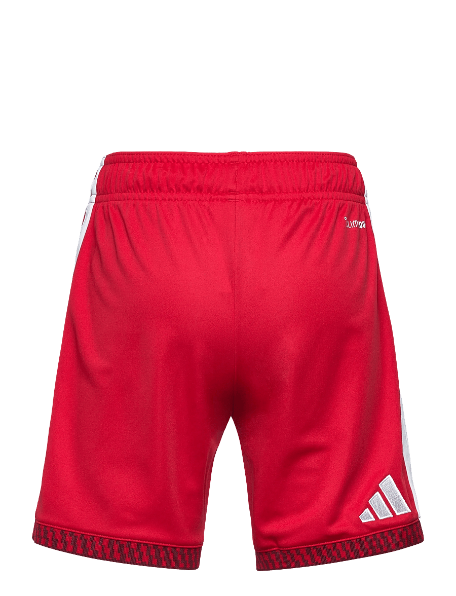 adidas Performance - AFC H SHO Y - sport-shorts - betsca - 2