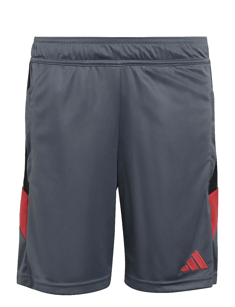 adidas Performance - TIRO ES SHO Y - sport-shorts - onix/ltonix/selure - 1