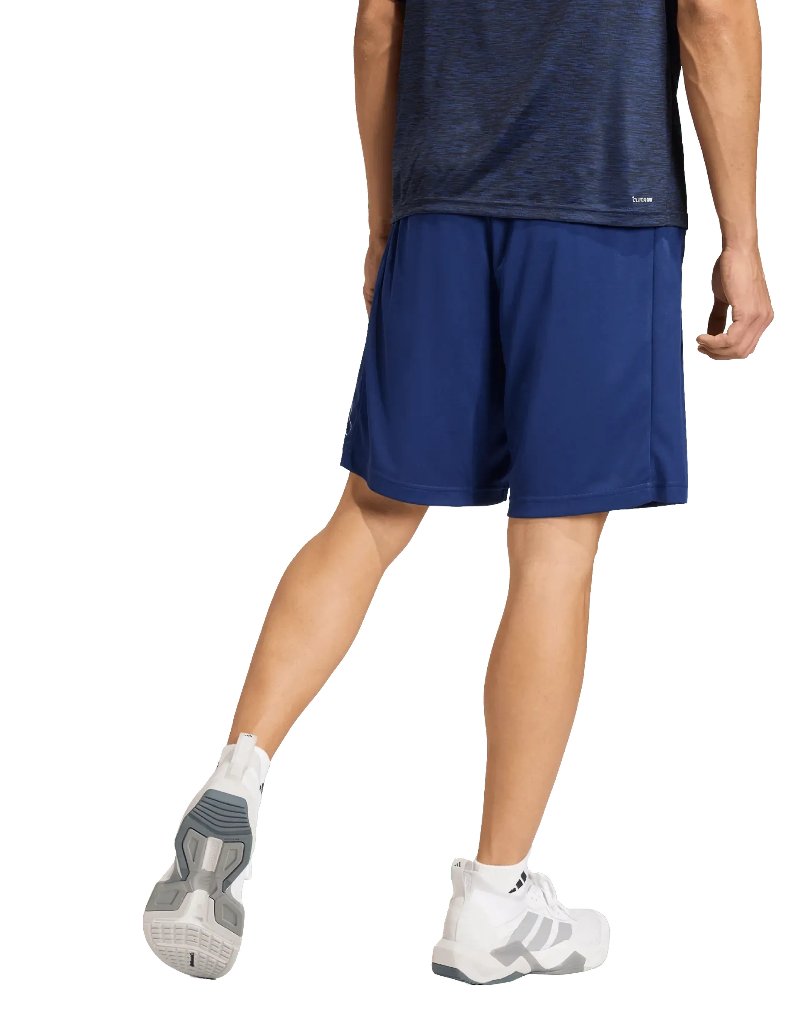 Adidas Performance We Base Bl Sho träningsshorts herr – bild 5