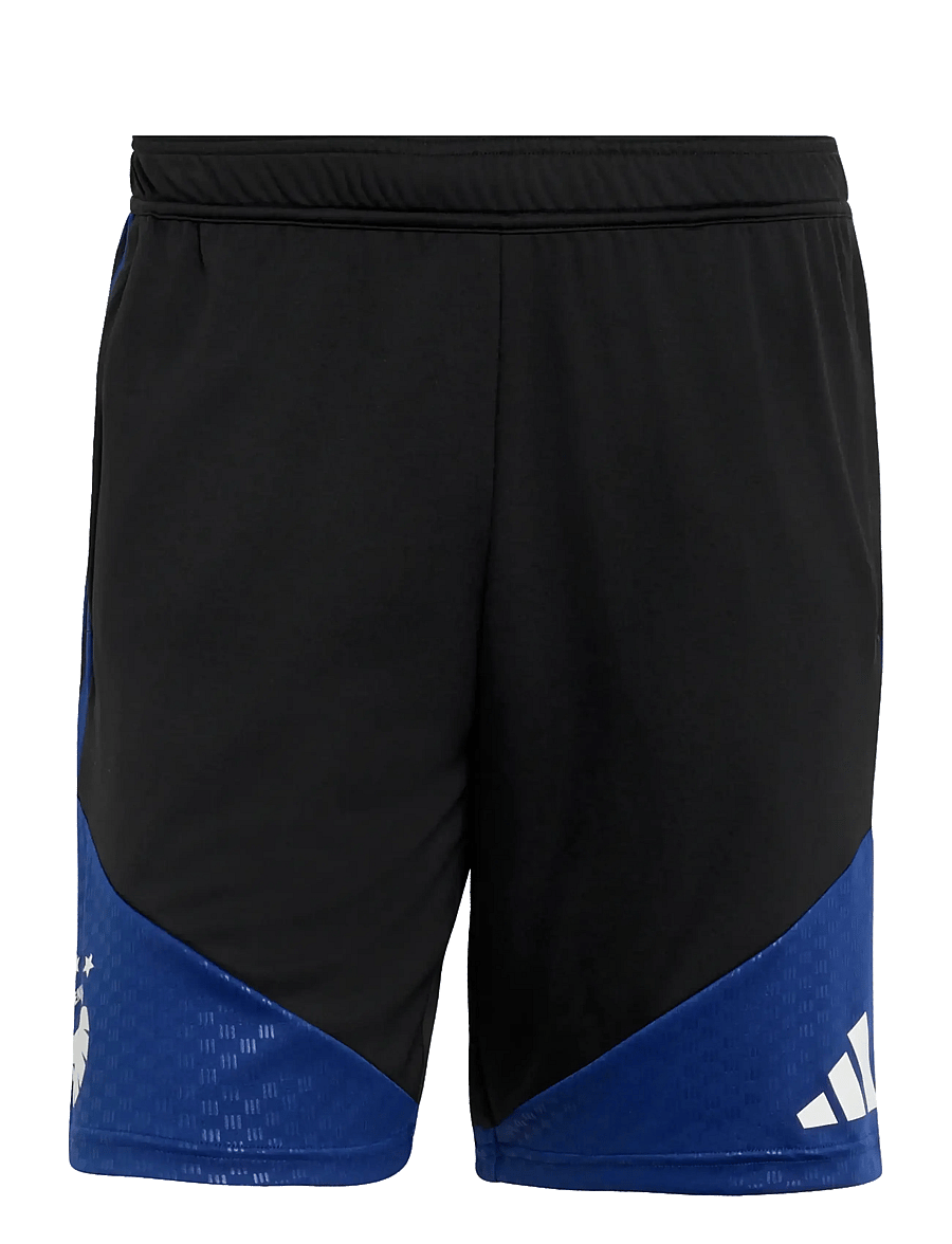 adidas Performance - FCK TR SHO - lühikesed treeningpüksid - black - 1