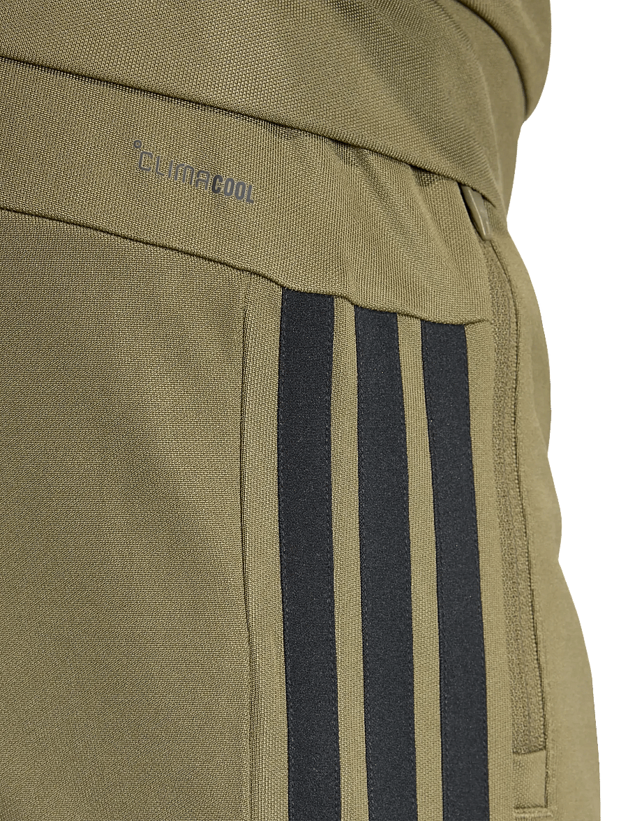adidas Performance - WE ALLSET 3S PT - sports pants - olistr/black - 4