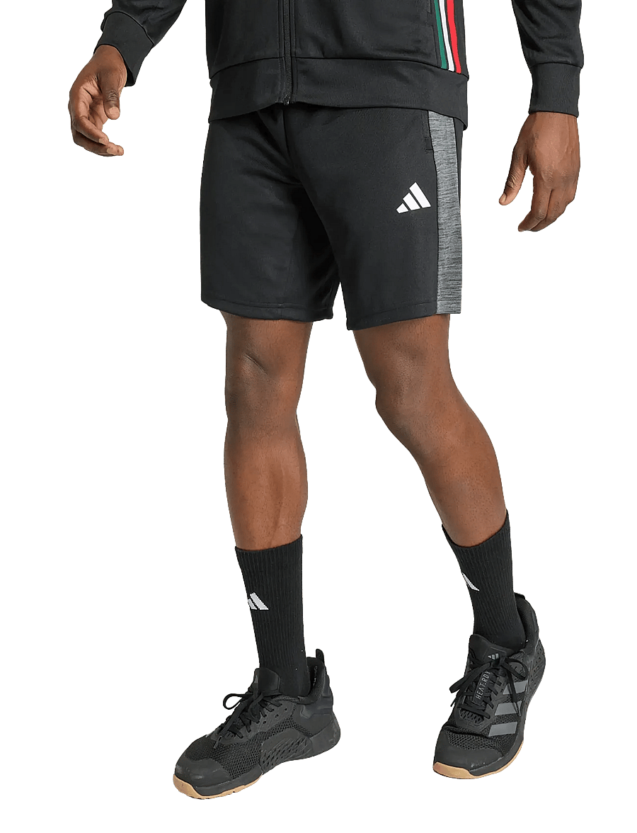 adidas Performance - WE ALLSET SHO - trainingsshorts - black - 2