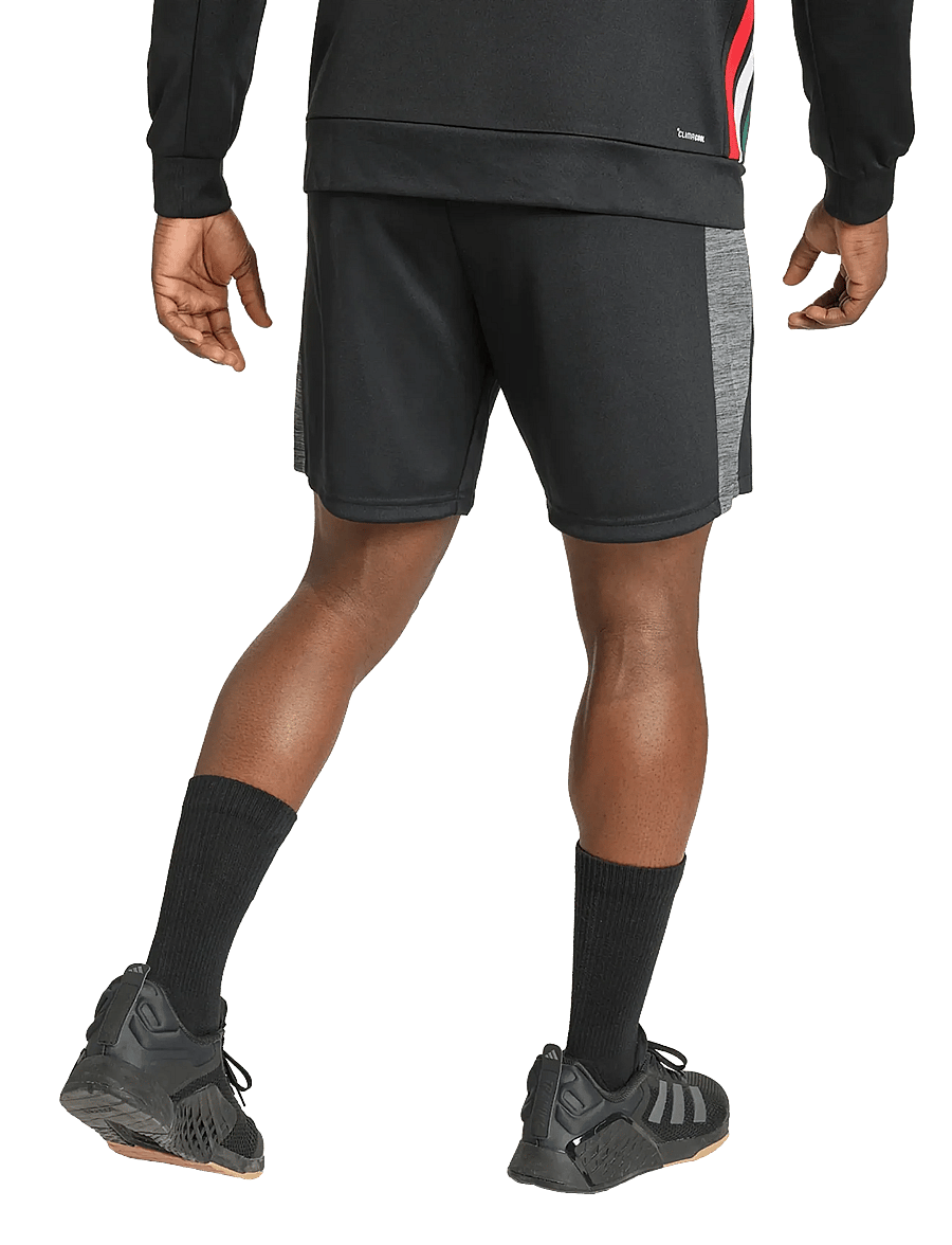 adidas Performance - WE ALLSET SHO - trainingsshorts - black - 5