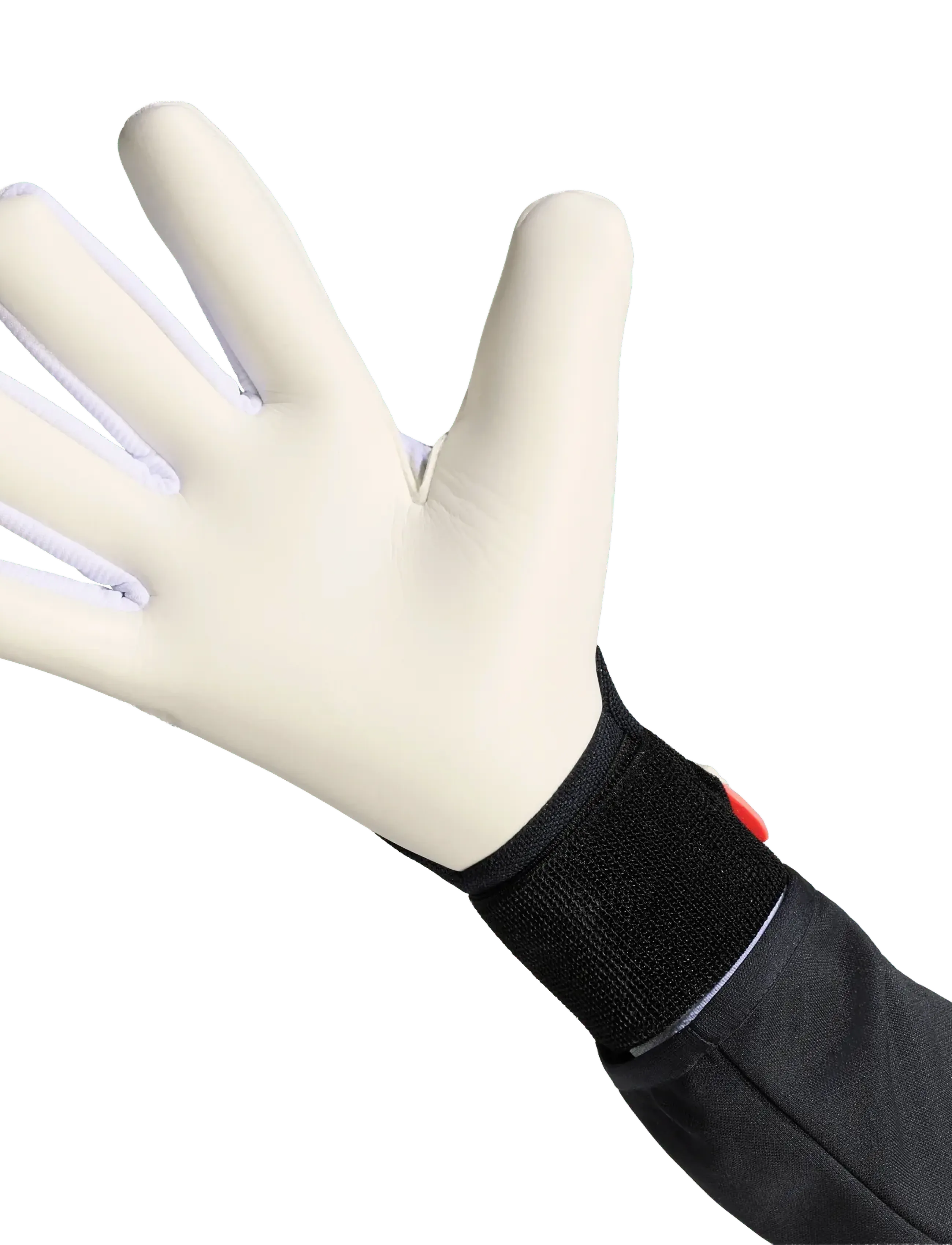 adidas Performance - PRED GL PRO ST - football gloves - soltur/black/white - 3