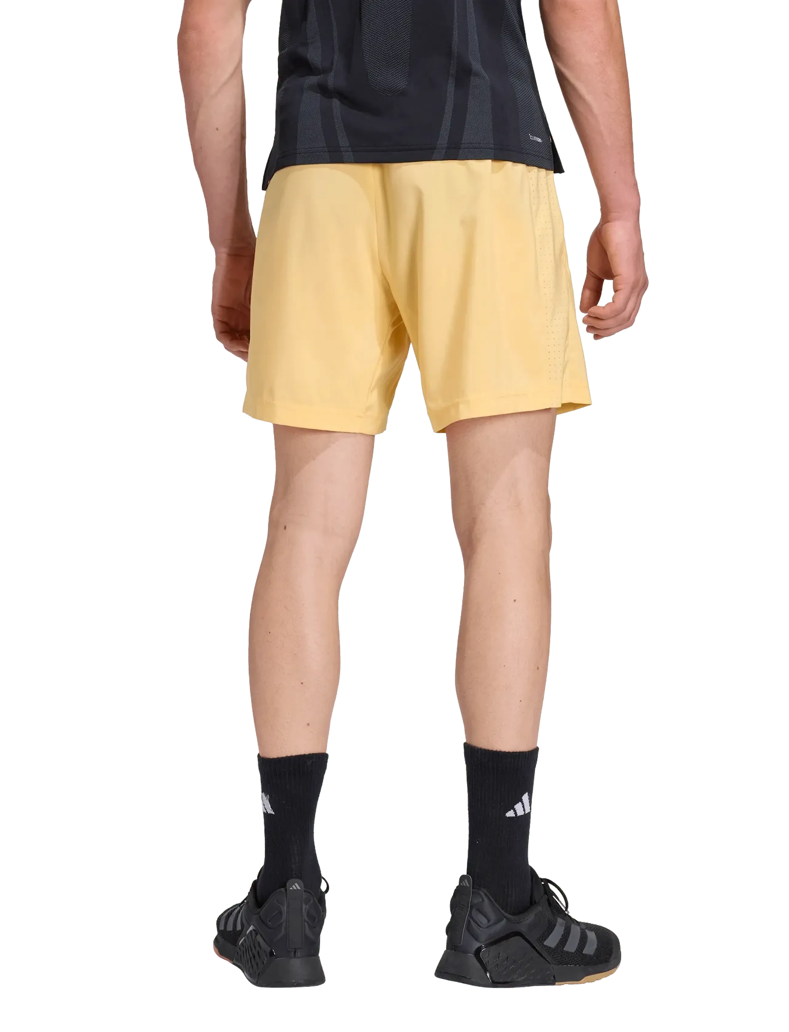 adidas Performance - WE BAS WV SHO - Æfingastuttbuxur - seicta - 5