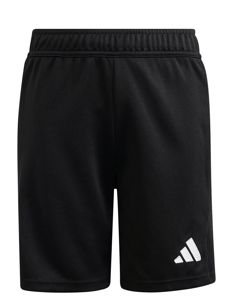 adidas Performance - TIERRO26 GKSHOY - black - 1