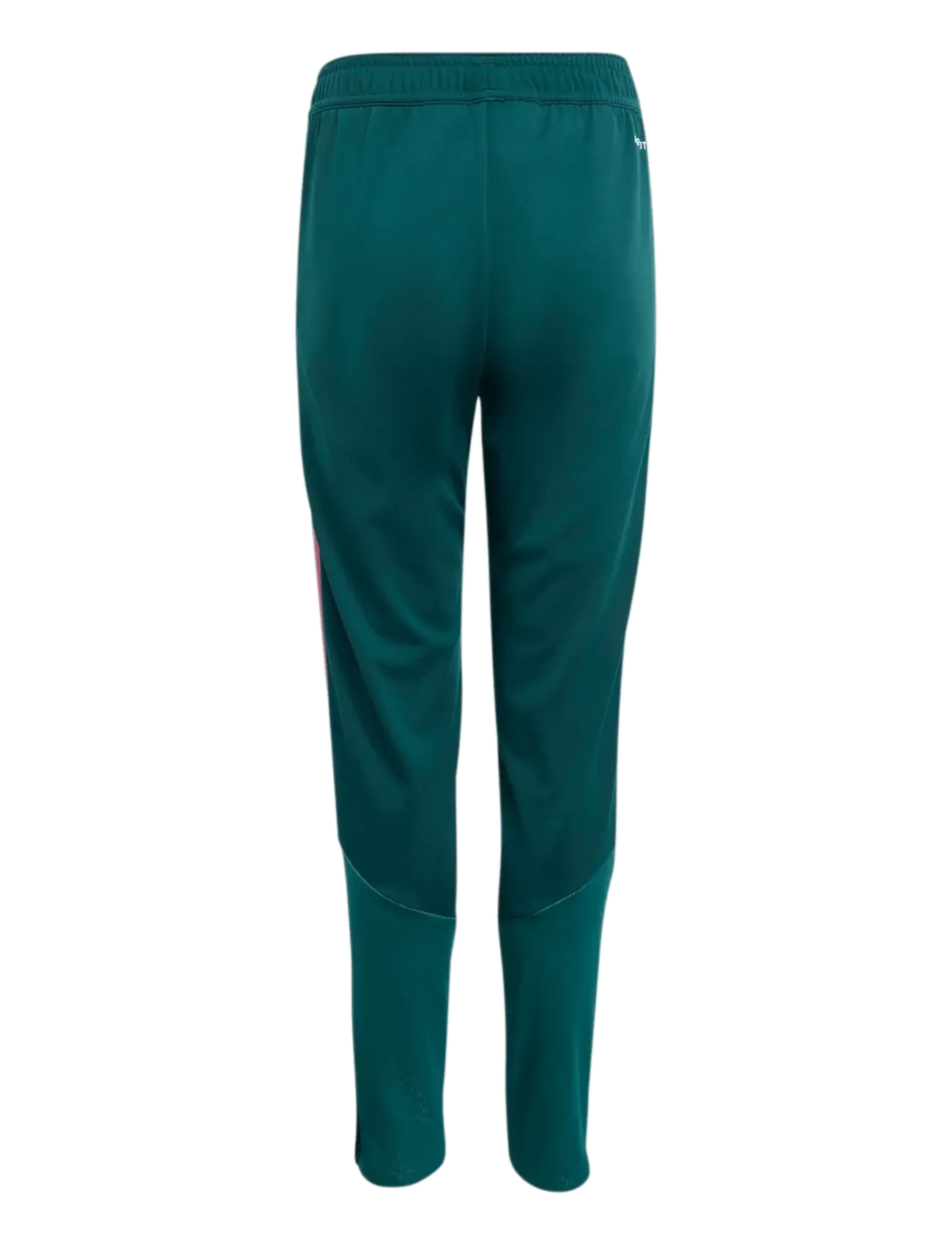adidas Performance - REAL TR PNTY - sweatpants - aurivy/wilpnk - 1