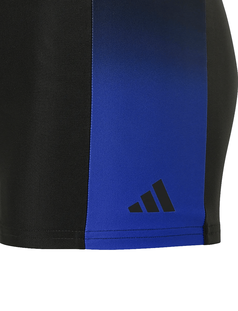adidas Performance - GRADIENT BX Y - black/lucblu - 2