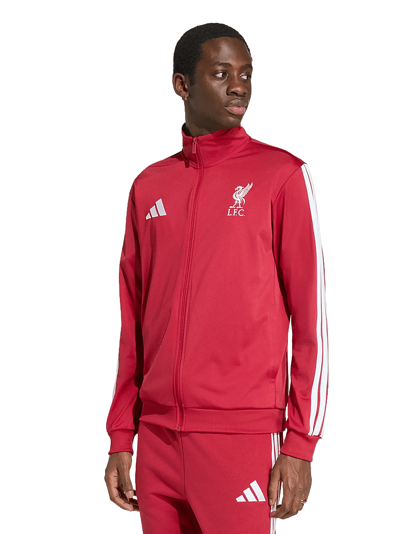 adidas Performance - LFC DNA TT - tops - actmar - 0
