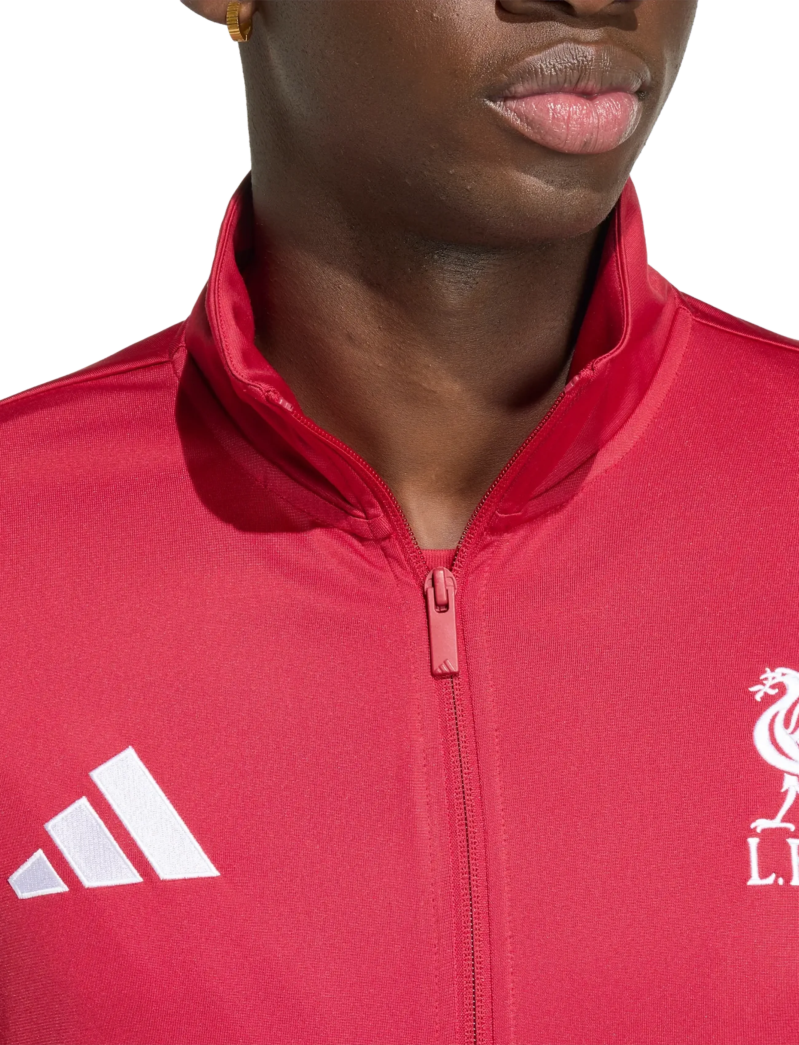 Lfc Dna Tt 2