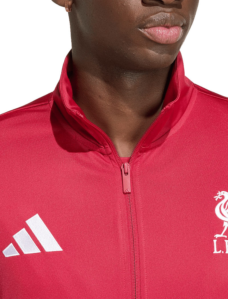adidas Performance - LFC DNA TT - tops - actmar - 2