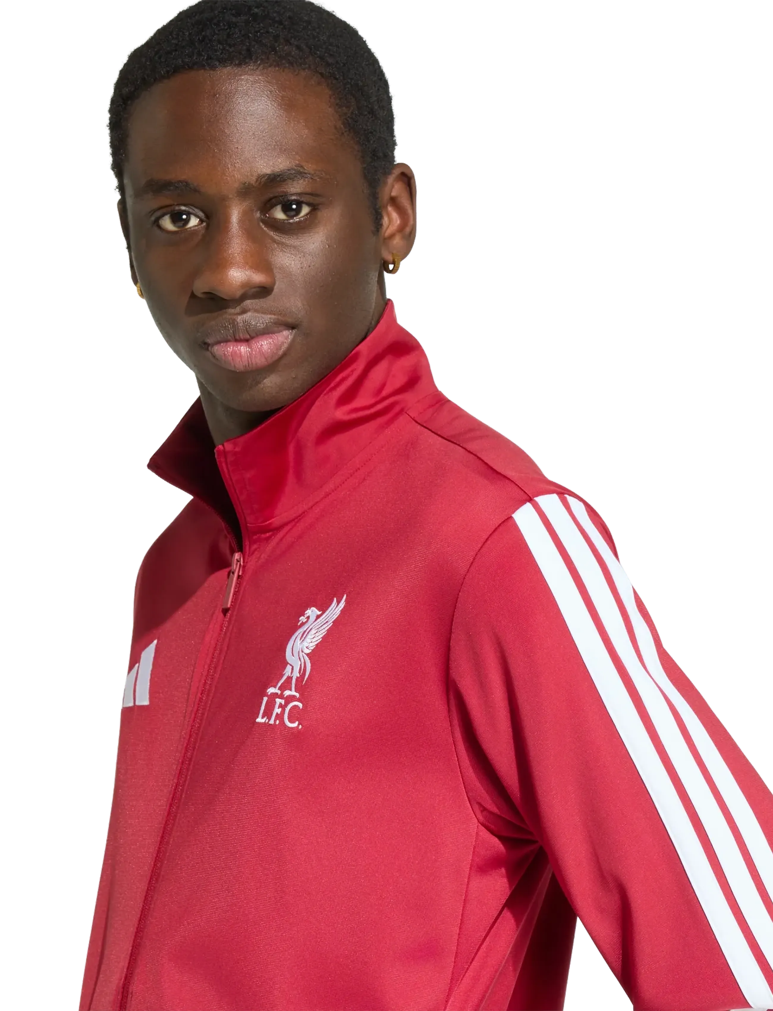 Lfc Dna Tt 3