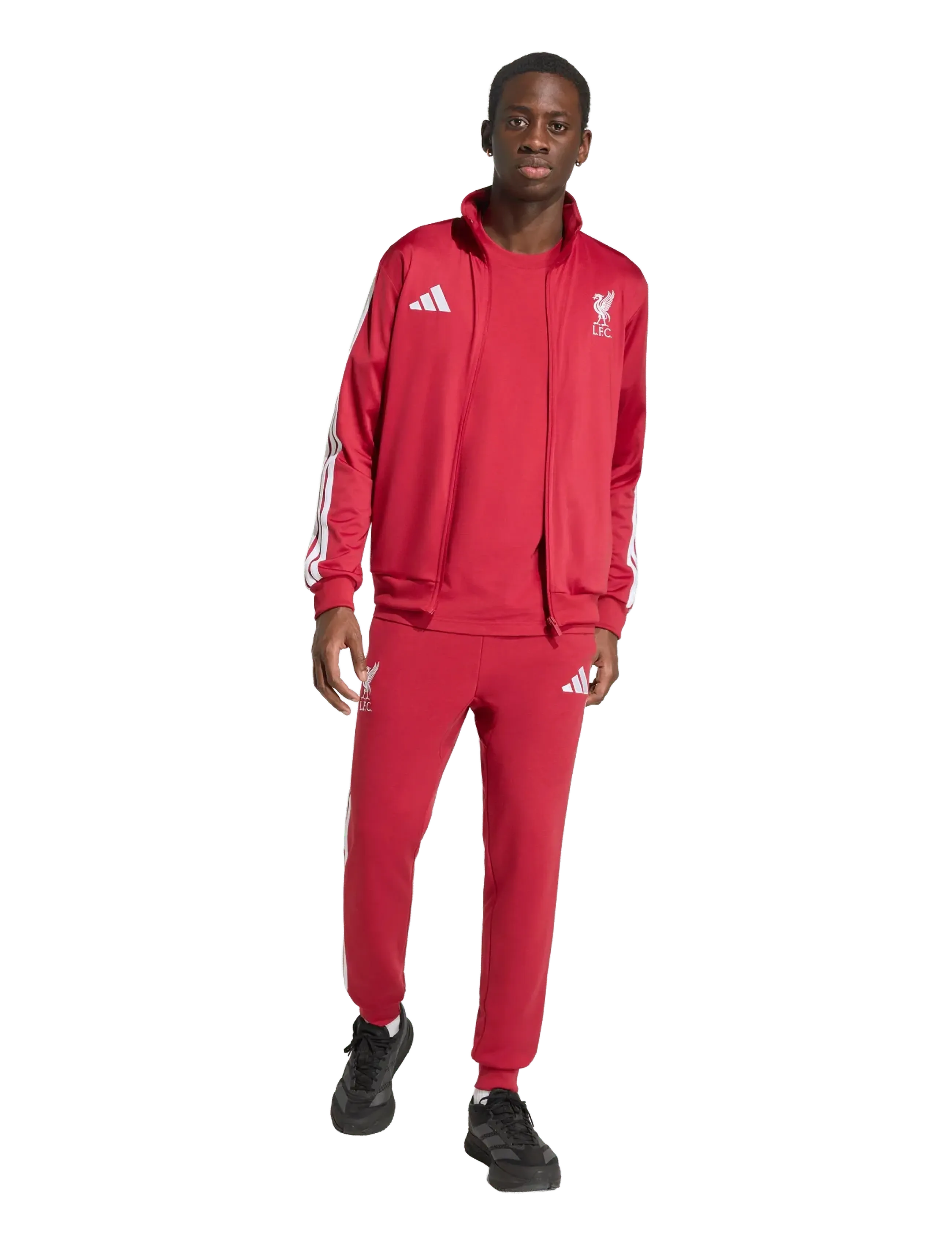 Lfc Dna Tt 4