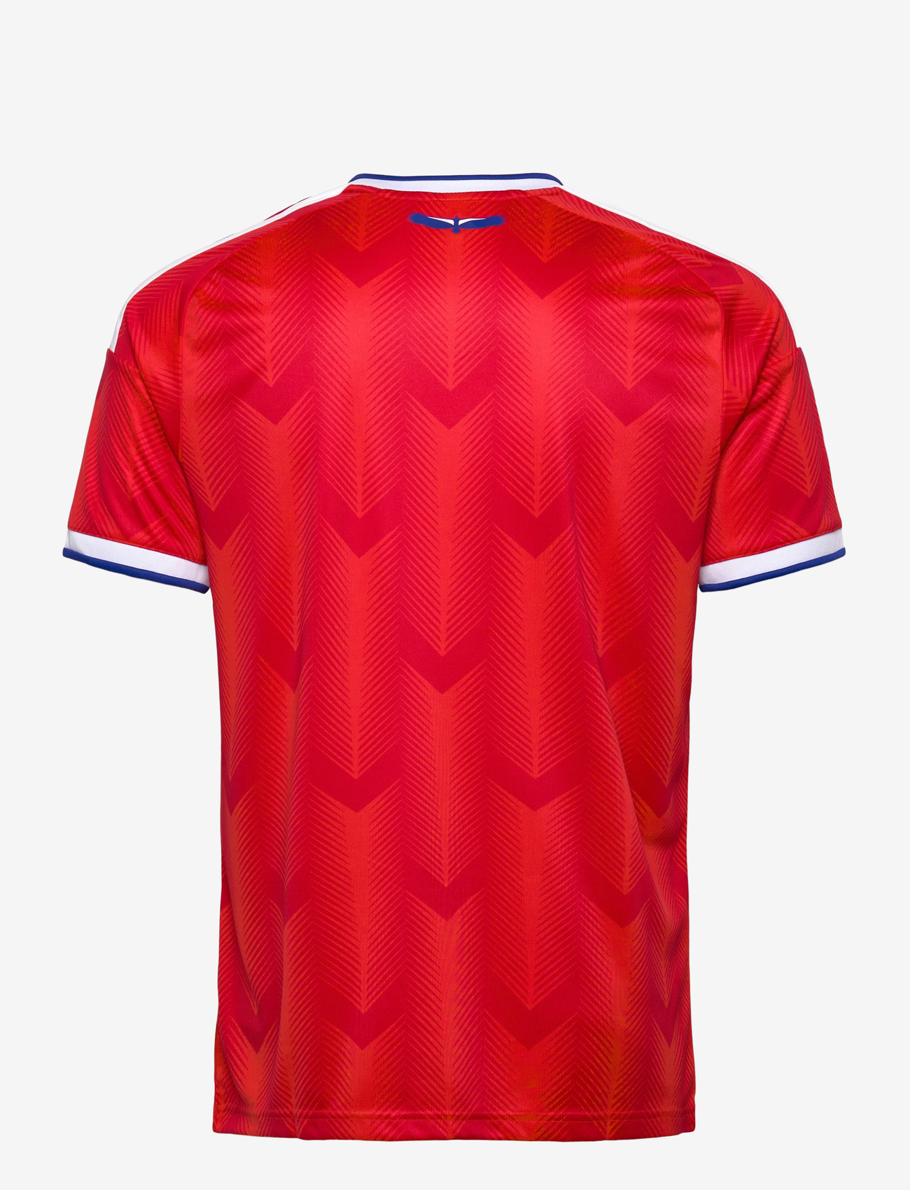adidas Performance - ANFP H JSY - football shirts - actred - 1