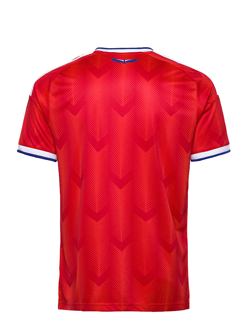 adidas Performance - ANFP H JSY - fotbollströjor - actred - 1