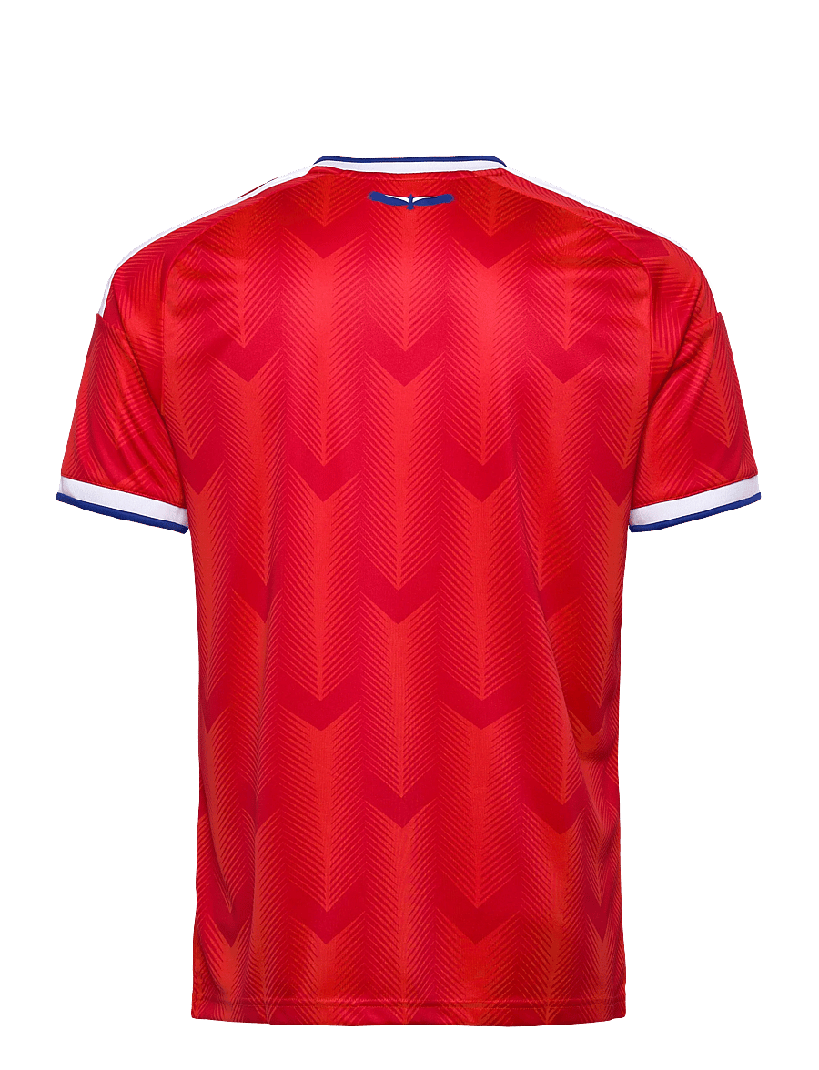 adidas Performance - ANFP H JSY - fotballtrøyer - actred - 1