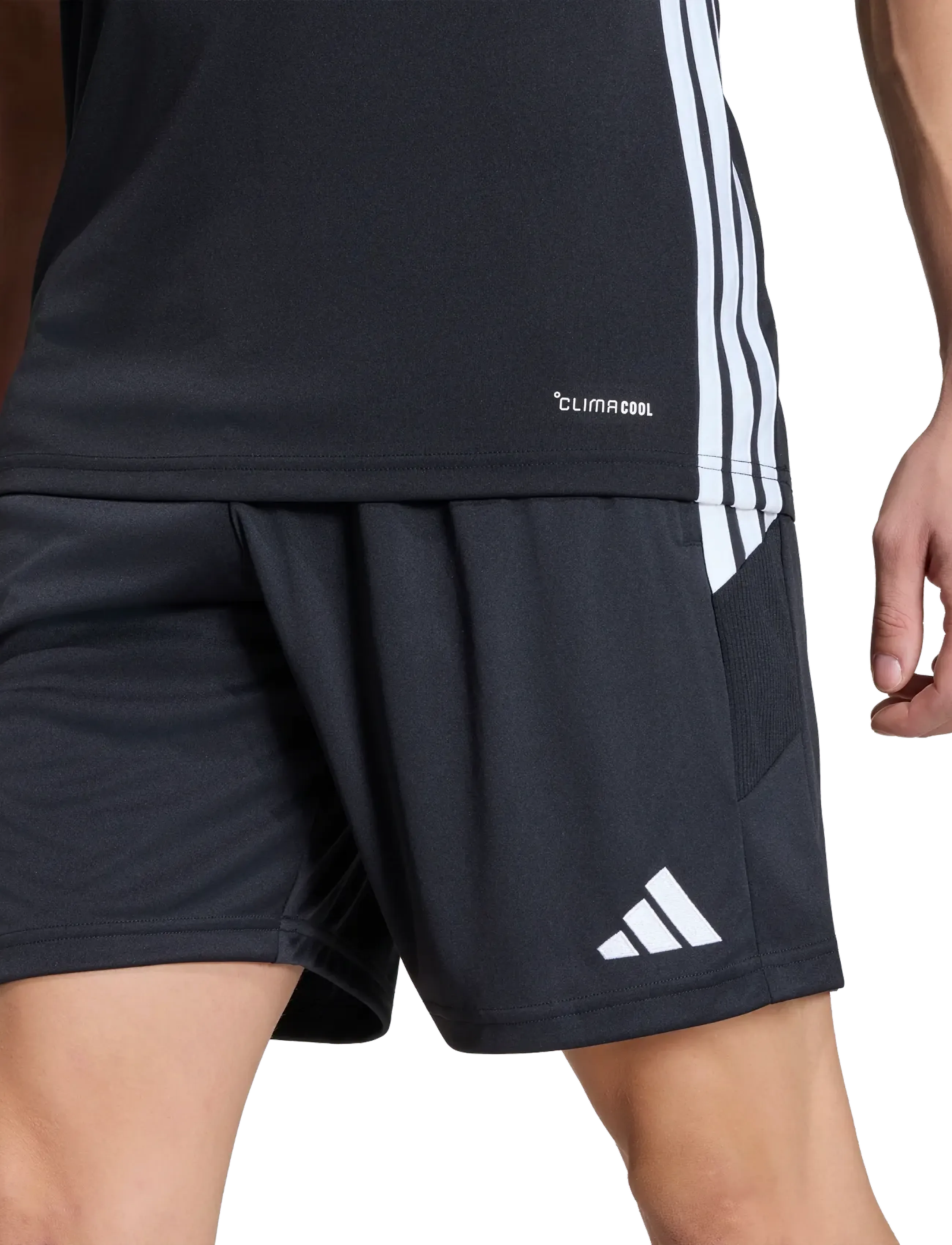 adidas Performance - TIRO ES SHO - lühikesed treeningpüksid - black/black/white - 3