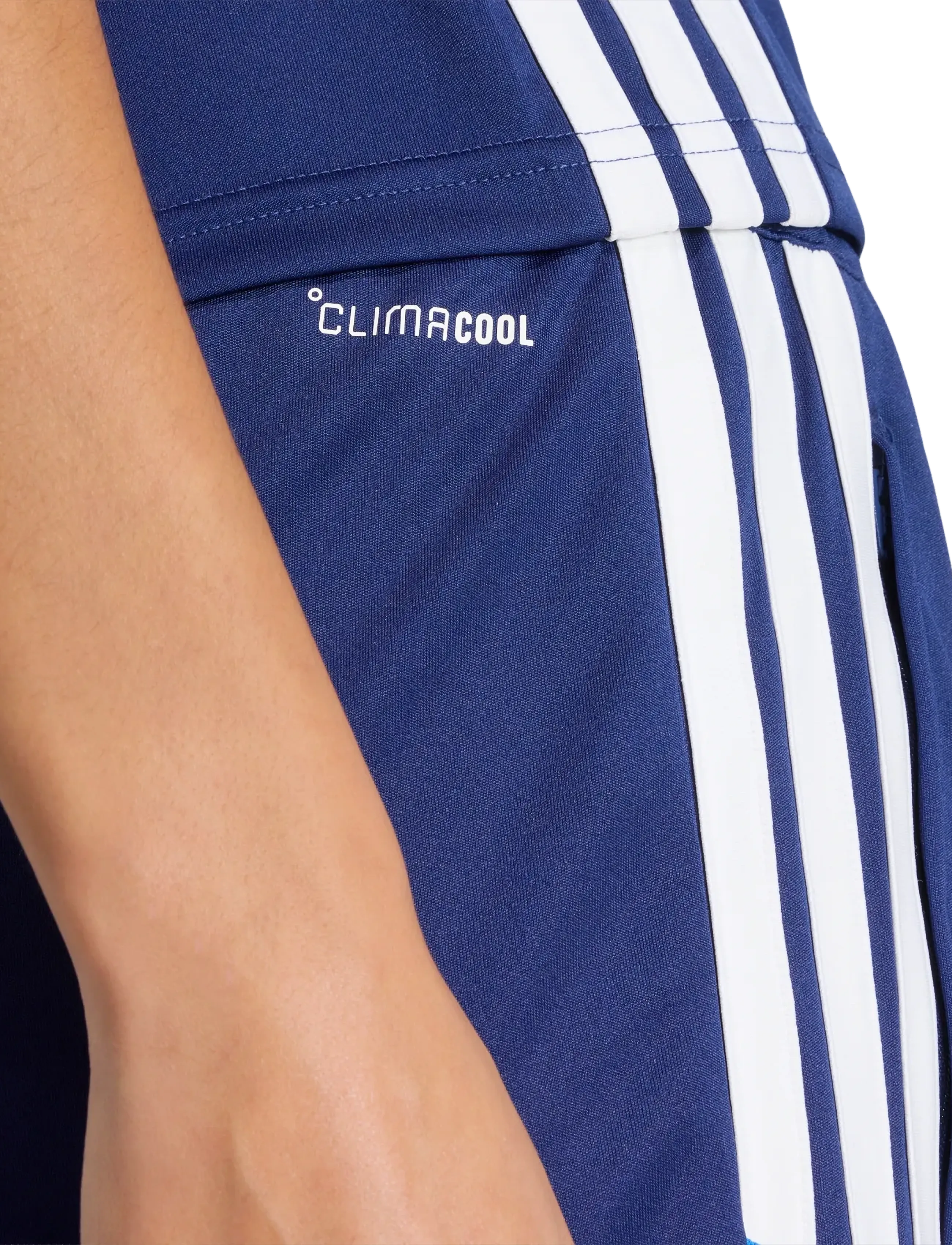 adidas Performance - TIRO ES SHO W - trainingsshorts - dkblue/broyal/white - 4