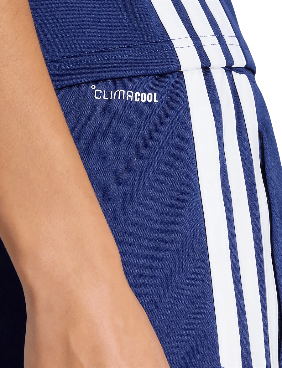 adidas Performance - TIRO ES SHO W - trainingsshorts - dkblue/broyal/white - 4
