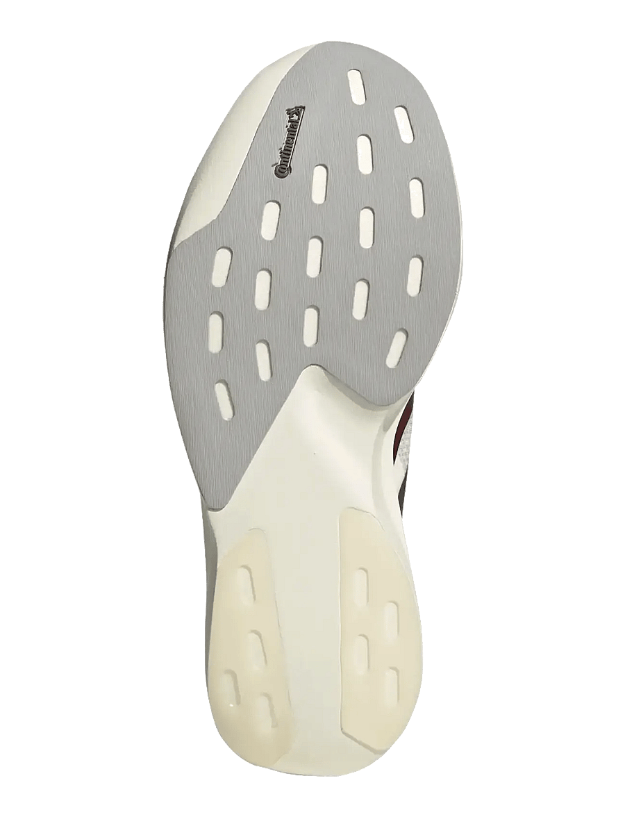 adidas Performance - adizero Evo SL M - löparskor - gretwo/shaoli/maroon - 5