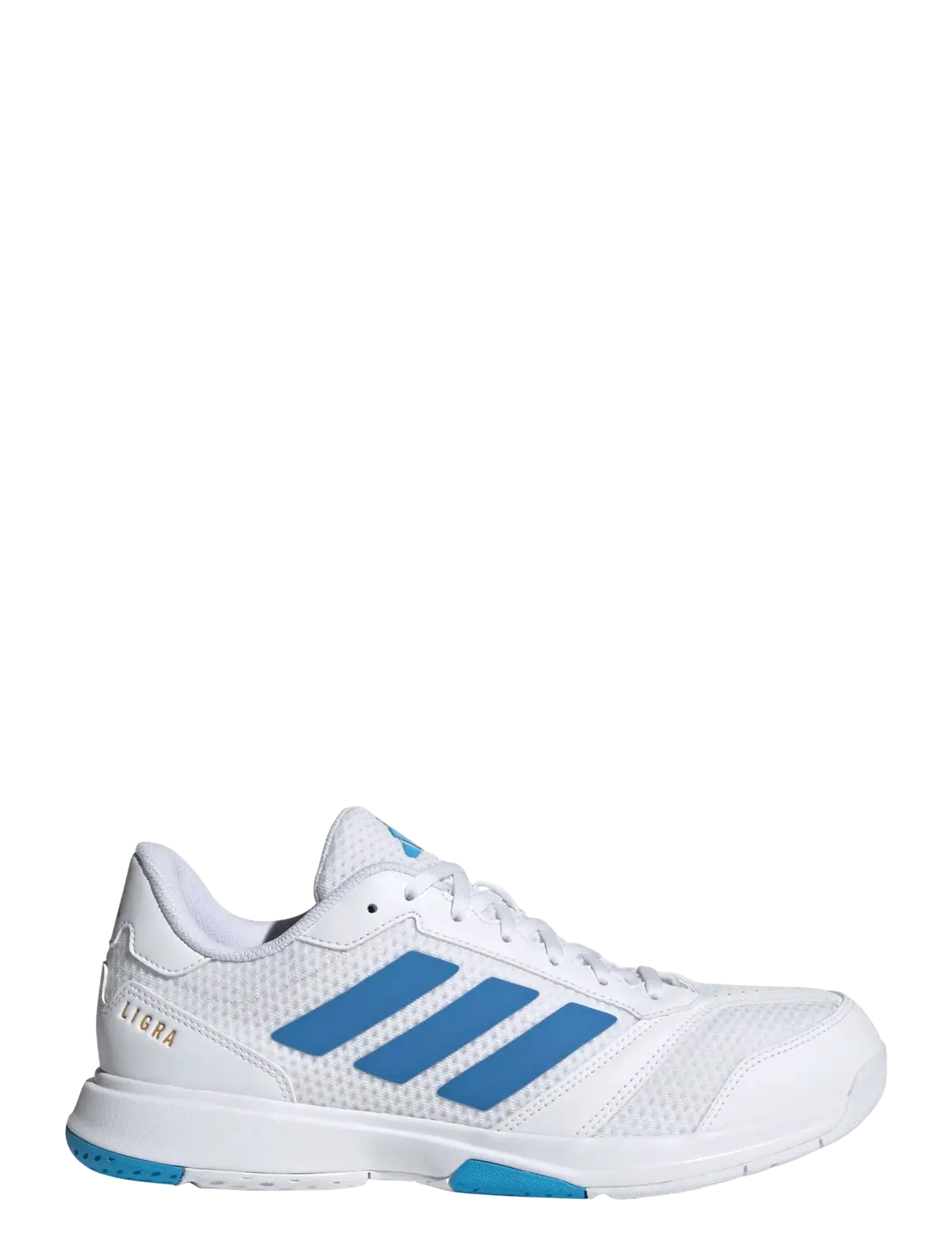 adidas Performance - Ligra 8 M - siseruumide spordijalatsid - ftwwht/rayblu/luaq - 1