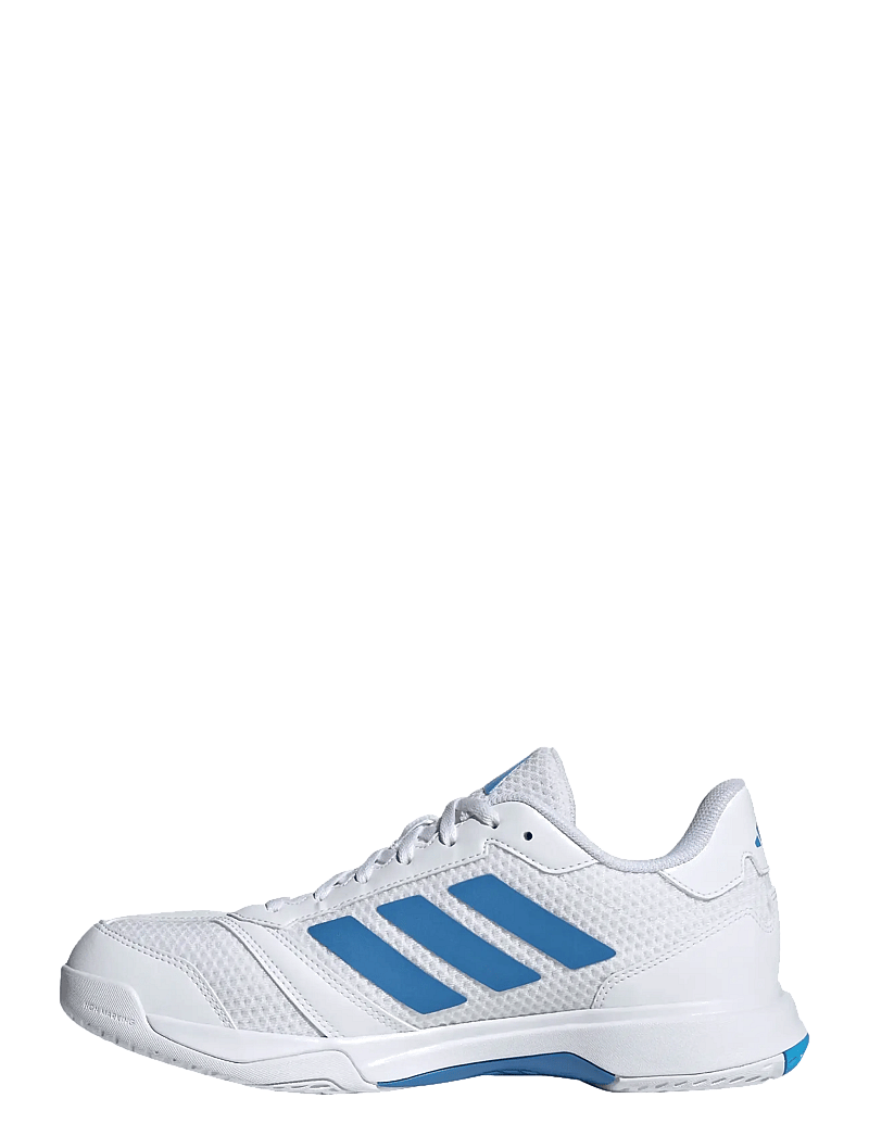 adidas Performance - Ligra 8 M - siseruumide spordijalatsid - ftwwht/rayblu/luaq - 2