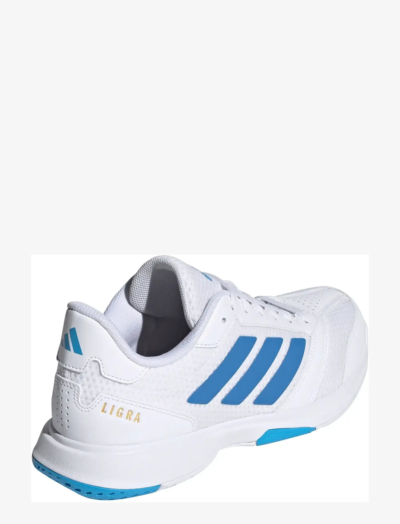 adidas Performance - Ligra 8 M - siseruumide spordijalatsid - ftwwht/rayblu/luaq - 3