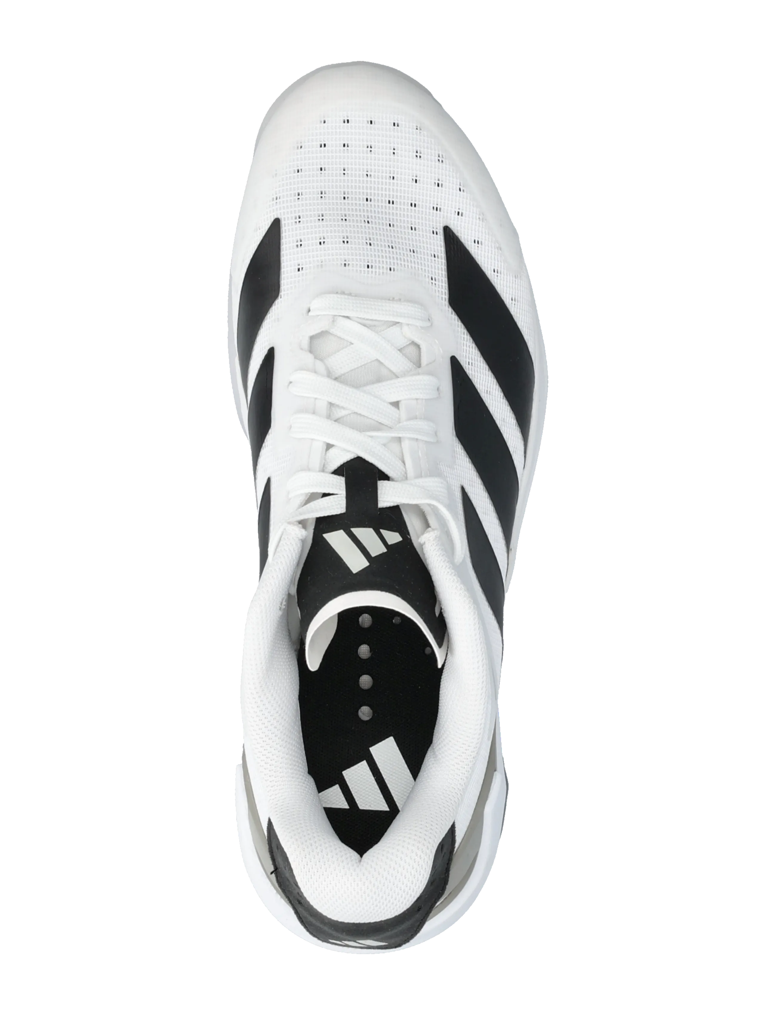 Adizero Counterblast-inomhusskor 8