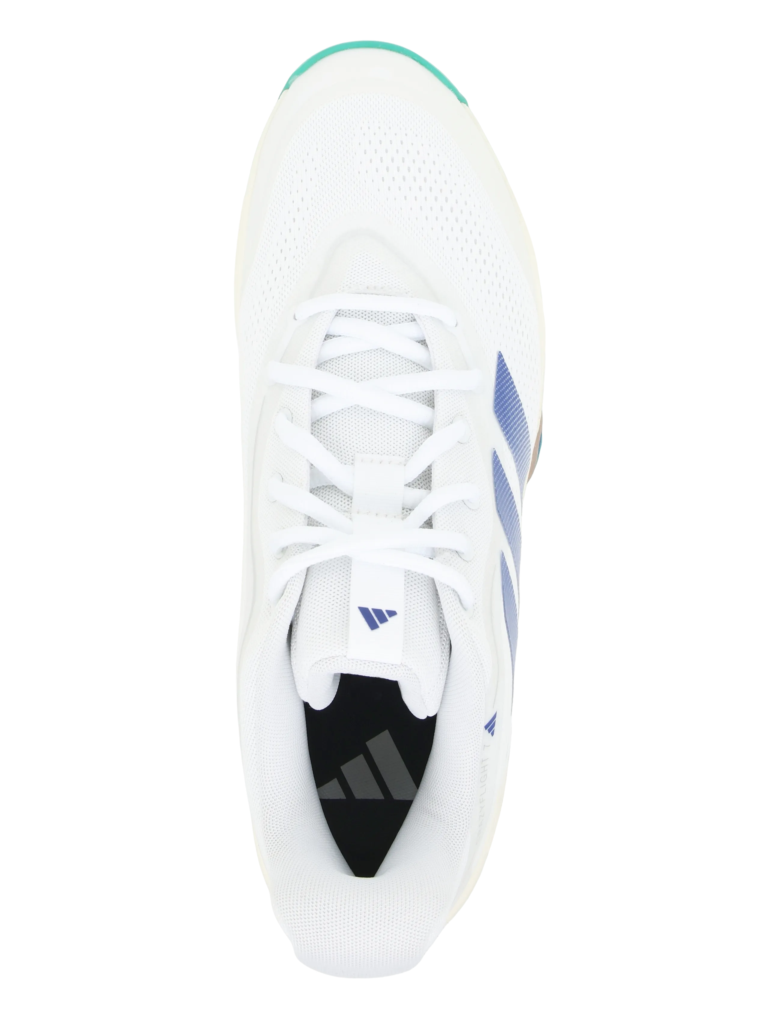 adidas Performance - CRAZYFLIGHT 7 M - siseruumide spordijalatsid - eqtgrn/ftwwht/royblu - 3