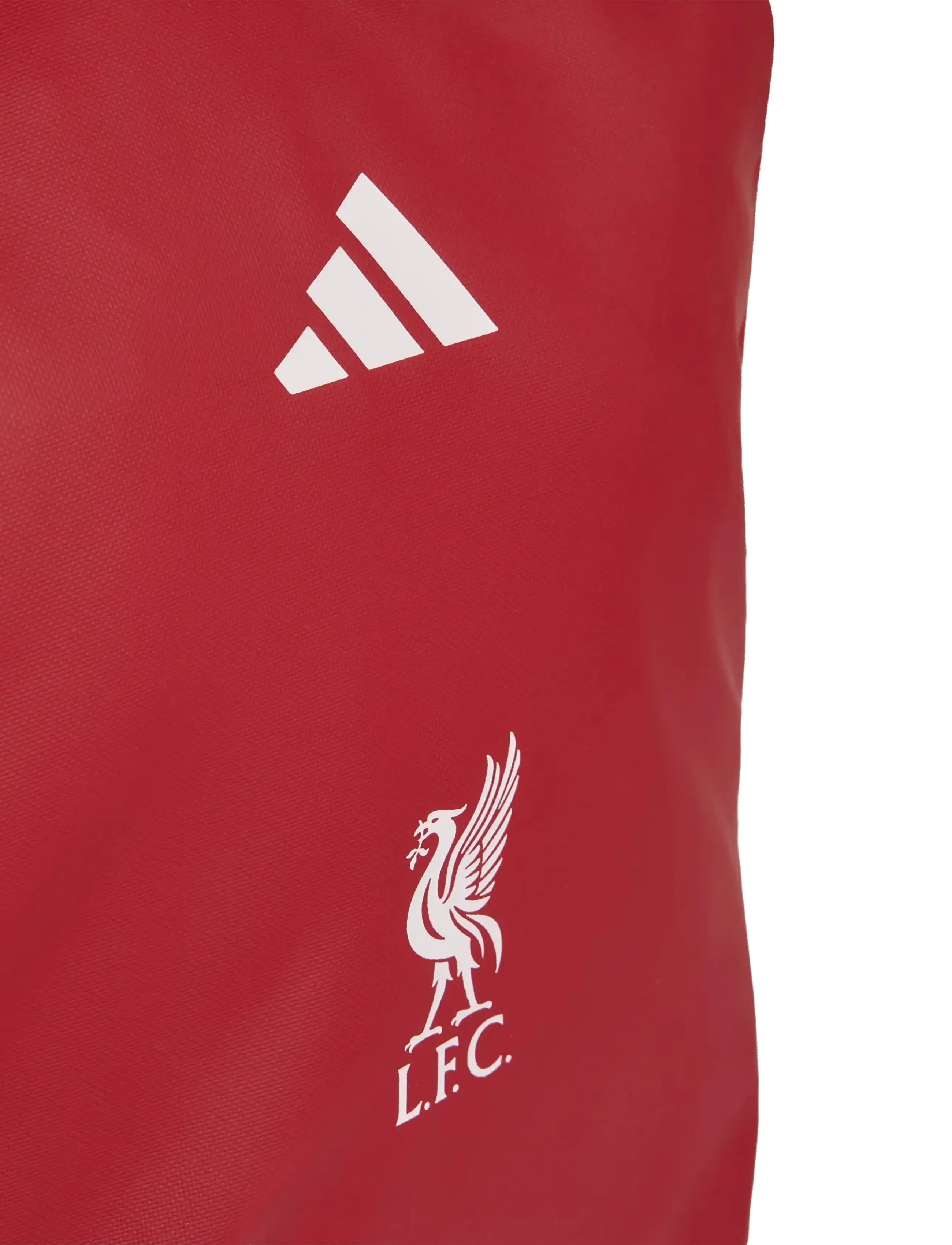 adidas Performance - LFC BACKPACK - sportrucksäcke - actmar/white - 3
