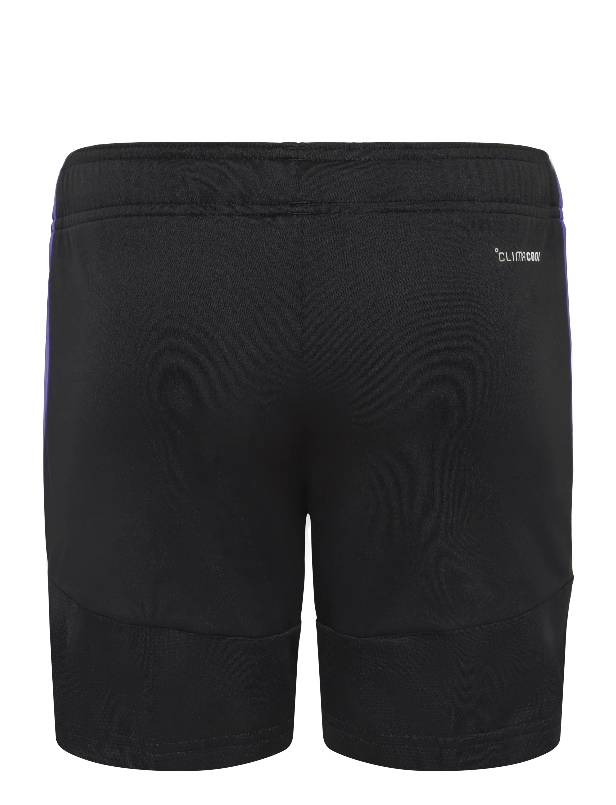 adidas Performance - TIRO26L SHO Y - urheilushortsit - black/purpur - 2