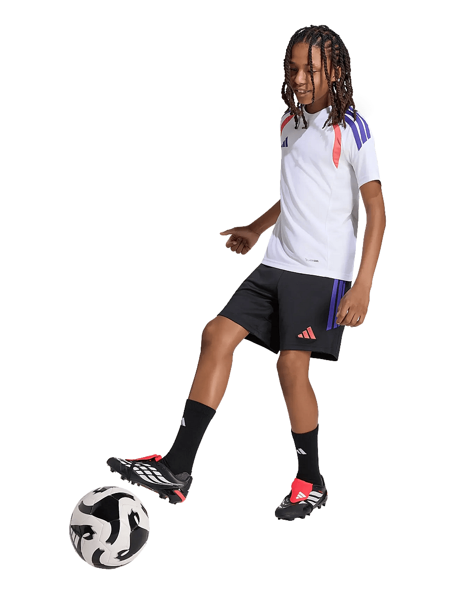 adidas Performance - TIRO26L SHO Y - sportsshorts - black/purpur - 0