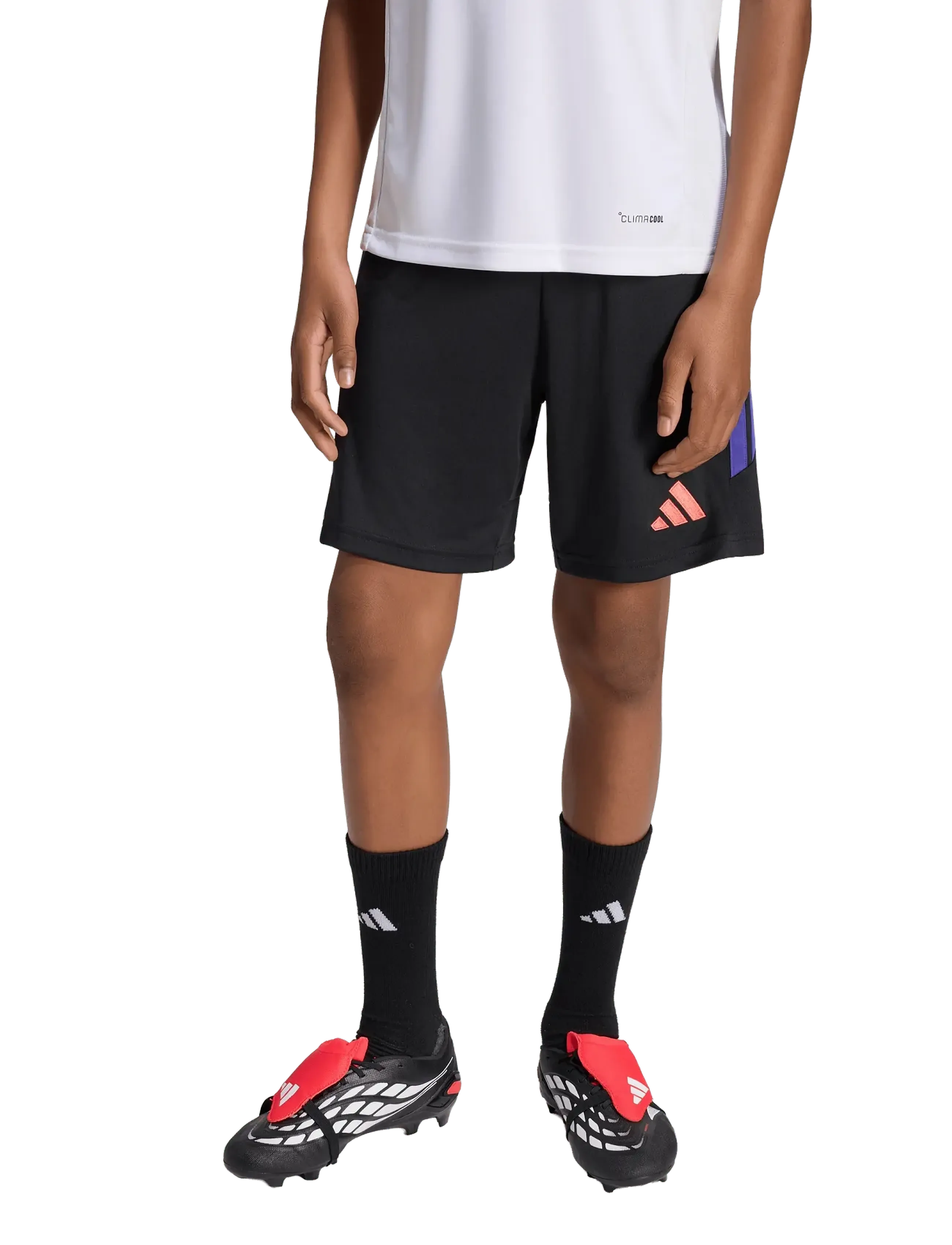 adidas Performance - TIRO26L SHO Y - sportshorts - black/purpur - 3