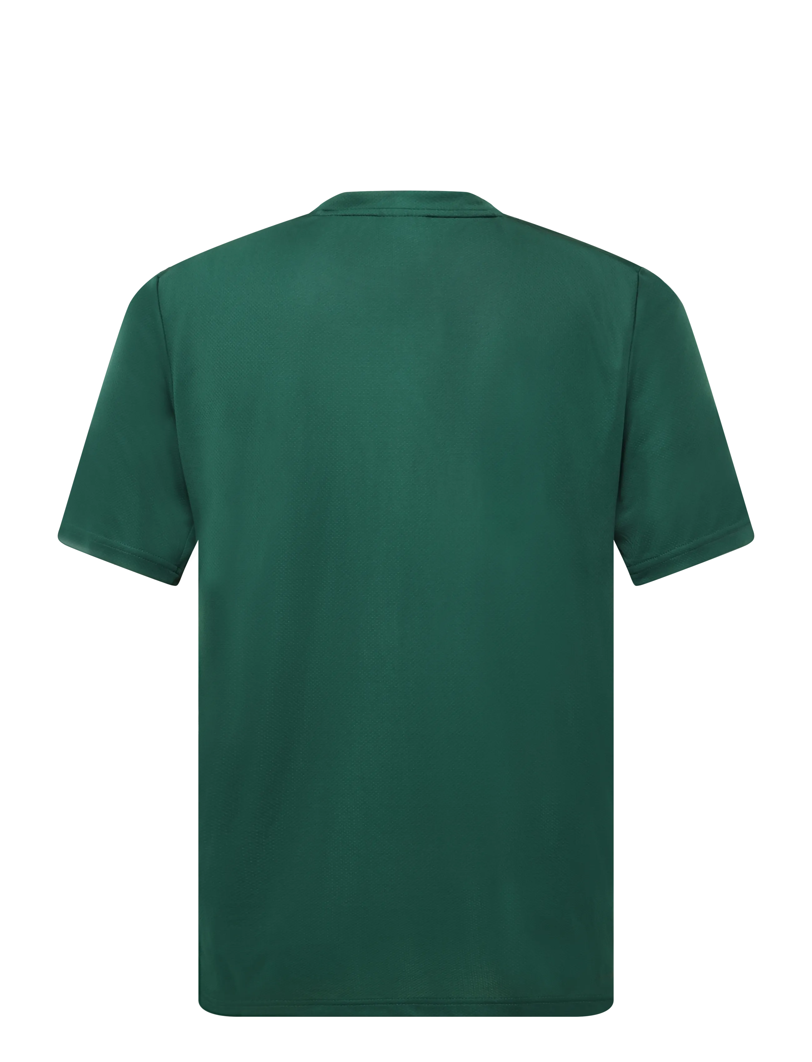 adidas Performance - WE BAS T - t-shirts - cgreen - 2