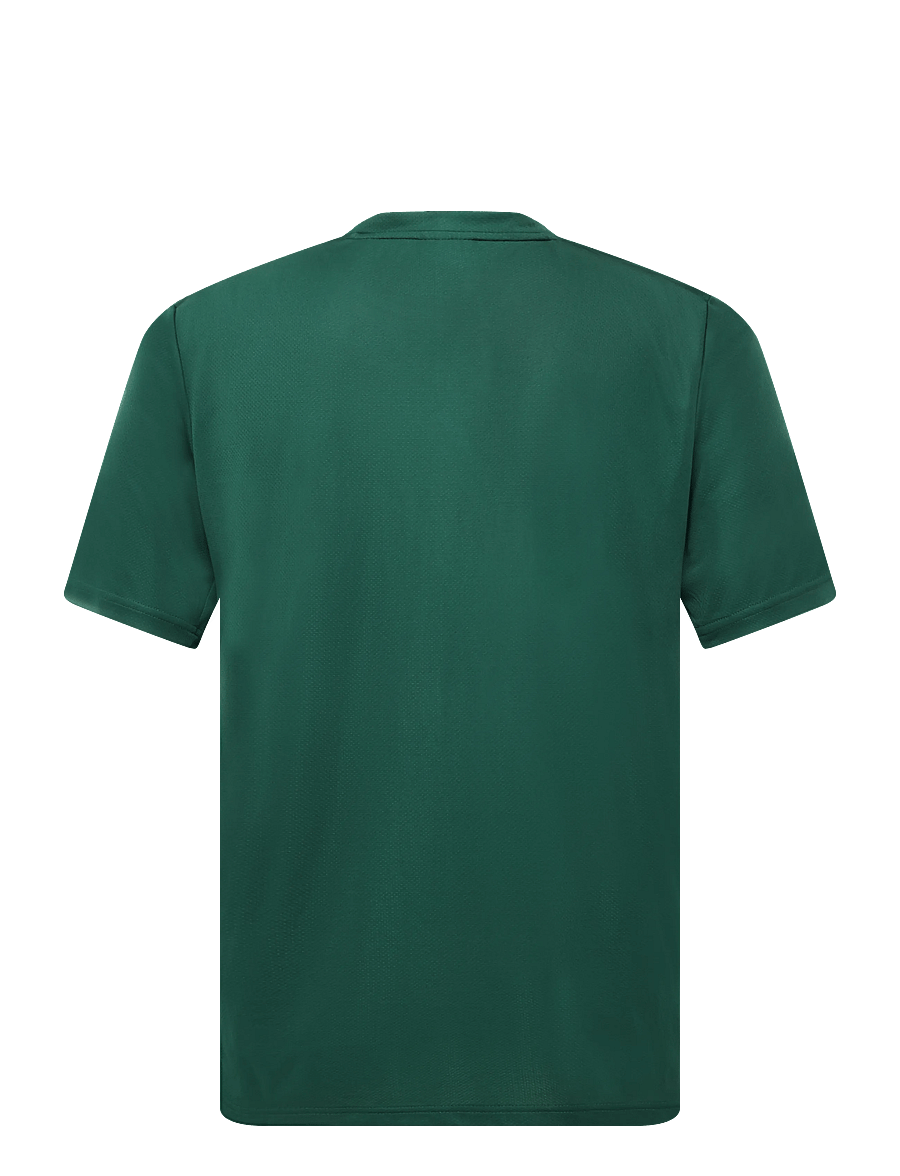 adidas Performance - WE BAS T - t-shirts - cgreen - 2