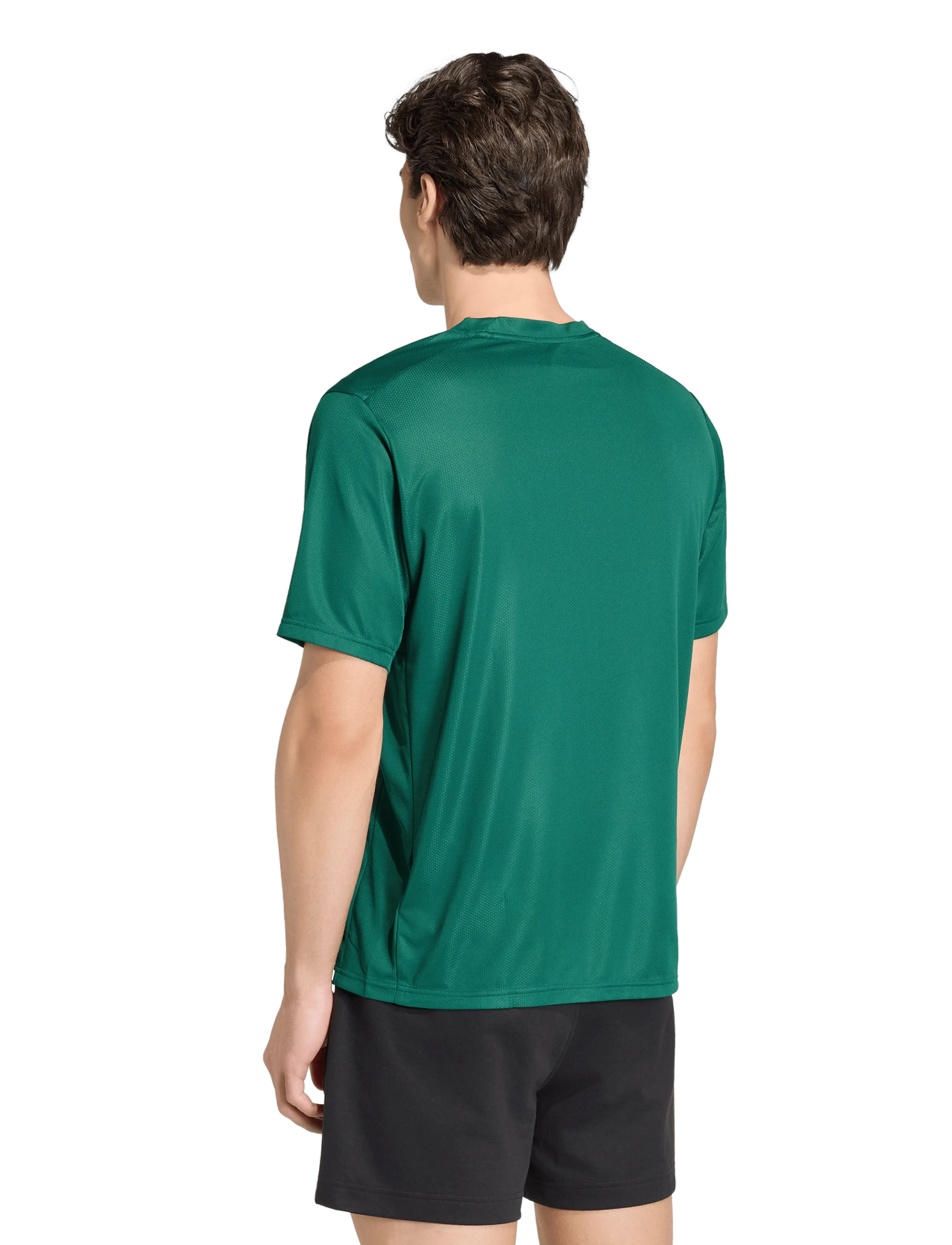 adidas Performance - WE BAS T - t-shirts - cgreen - 5