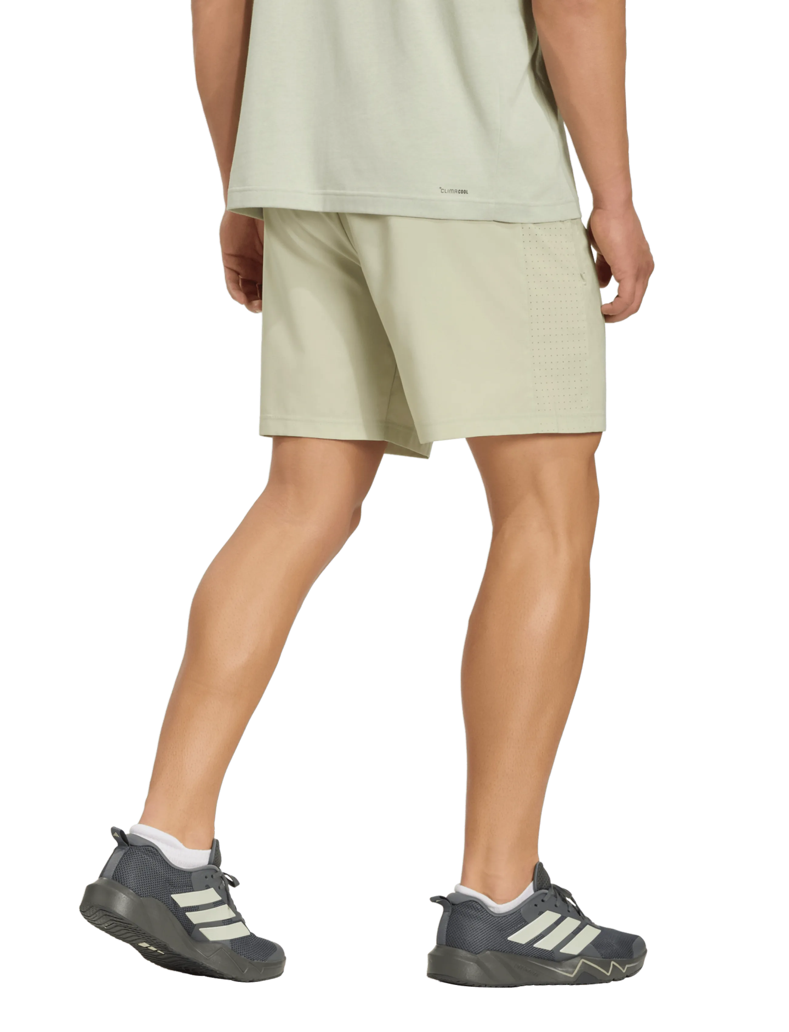 adidas Performance - WE BAS WV SHO - training shorts - halgrn - 5