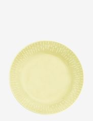 Confetti pasta plate w/relief 1 pcs giftbox - LEMON