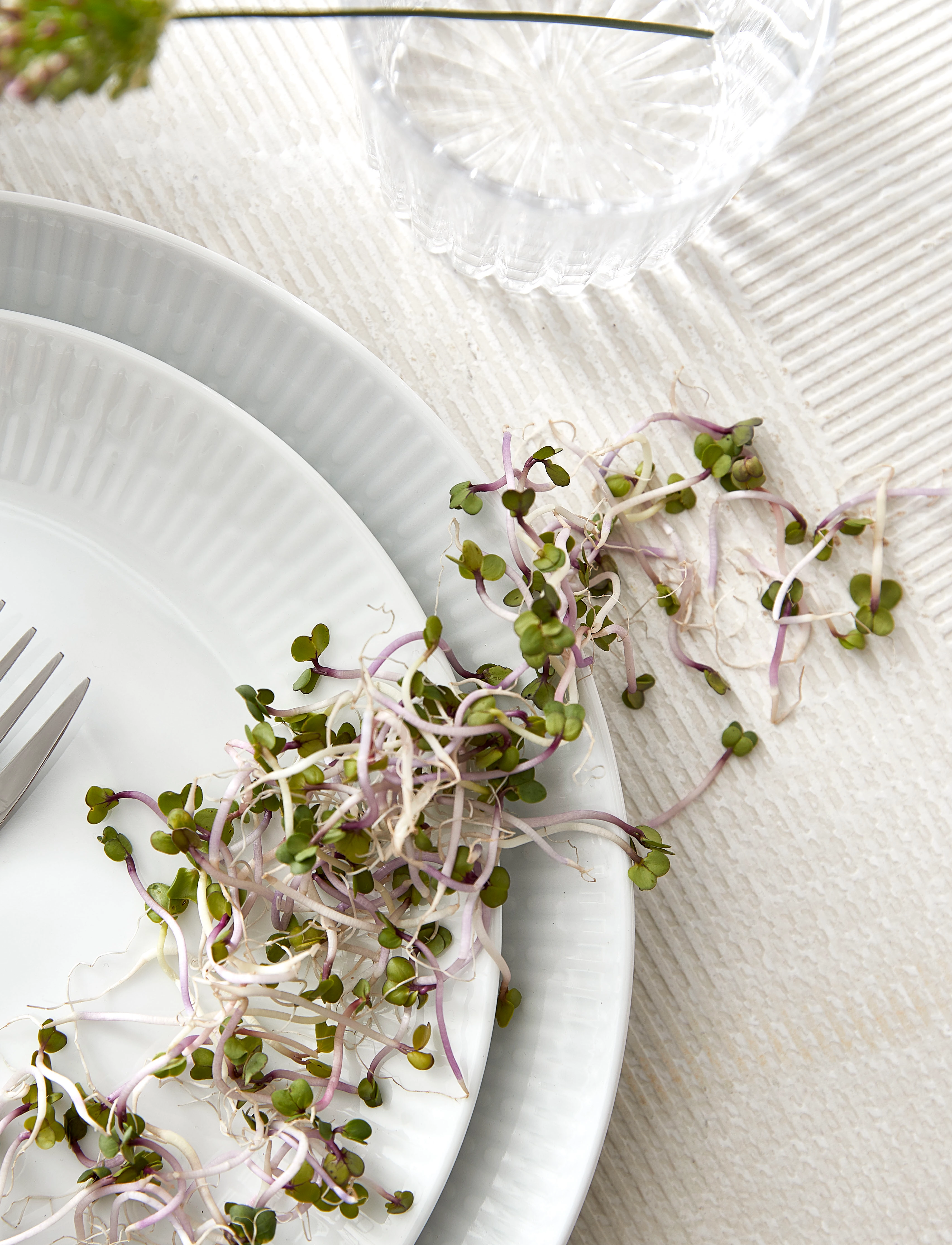 Aida - relief - white lunch plate - white - 2