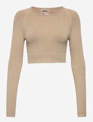 Sand Washed Ribbed Seamless Crop Long Sleeve - SAND WASHED