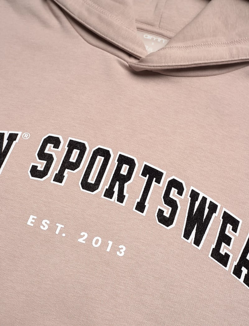 aim´n - Varsity Sweat Hood - dressipluusid ja pusad - dark clay - 2