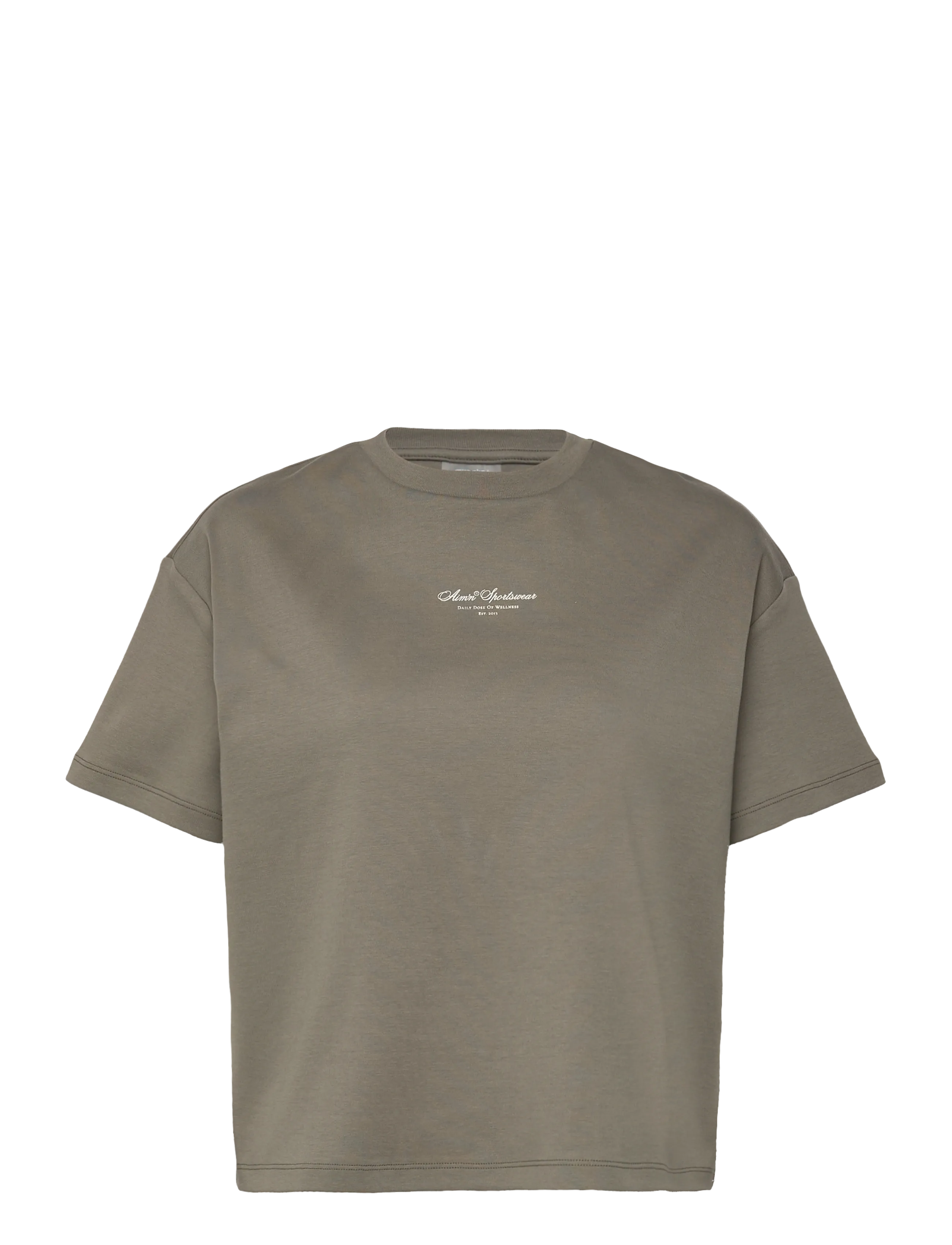 aim´n Script Boxy T-shirt - Visa allt - IVY / khaki/green