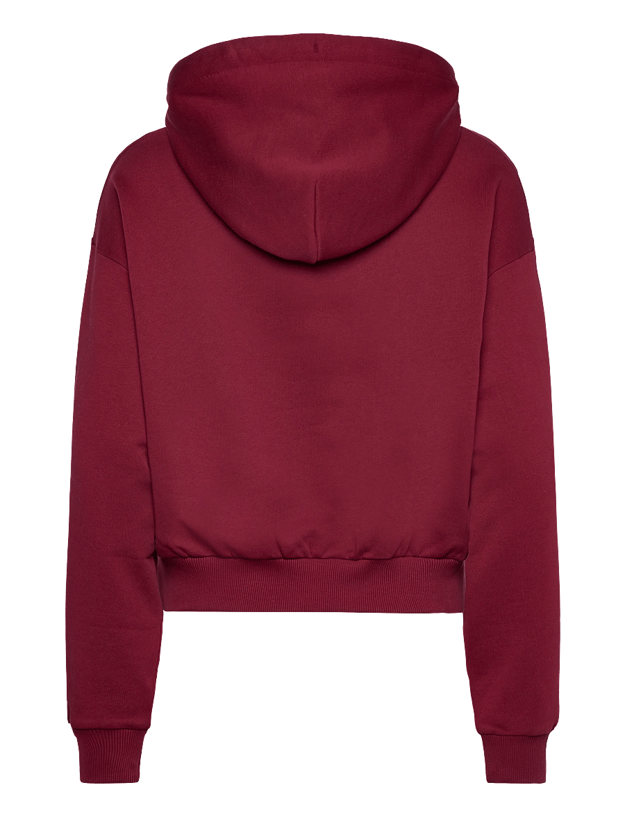 aim´n - Apparel Chunky Terry Hood - kapuutsiga dressipluusid - ruby - 2