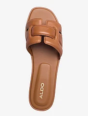 ALDO - ELENAA - flade sandaler - medium brown - 3