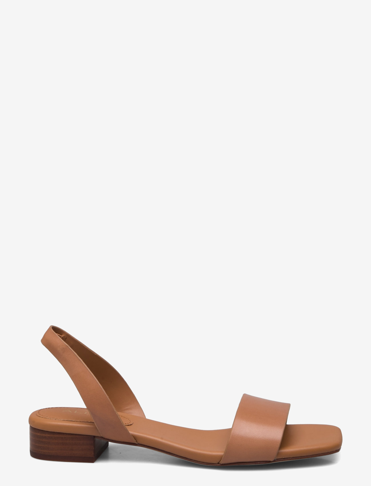 ALDO - DORENNA - dark beige - 1