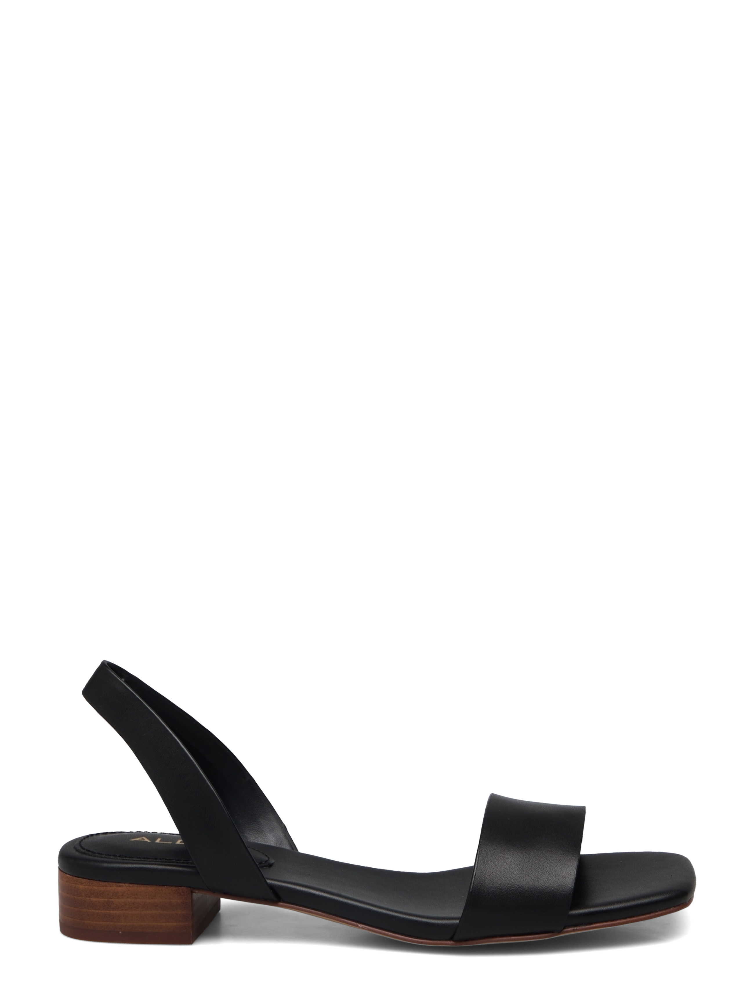 ALDO - DORENNA - flache sandalen - black - 1